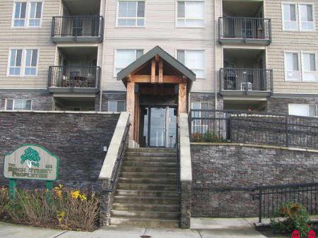 Main Photo: Apartment