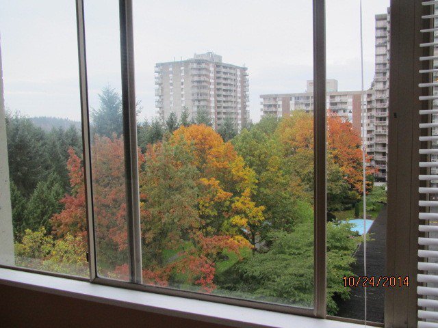 Main Photo: 911 2008 Fullerton Avenue in North Vancouver: Home for sale : MLS®# V1109639