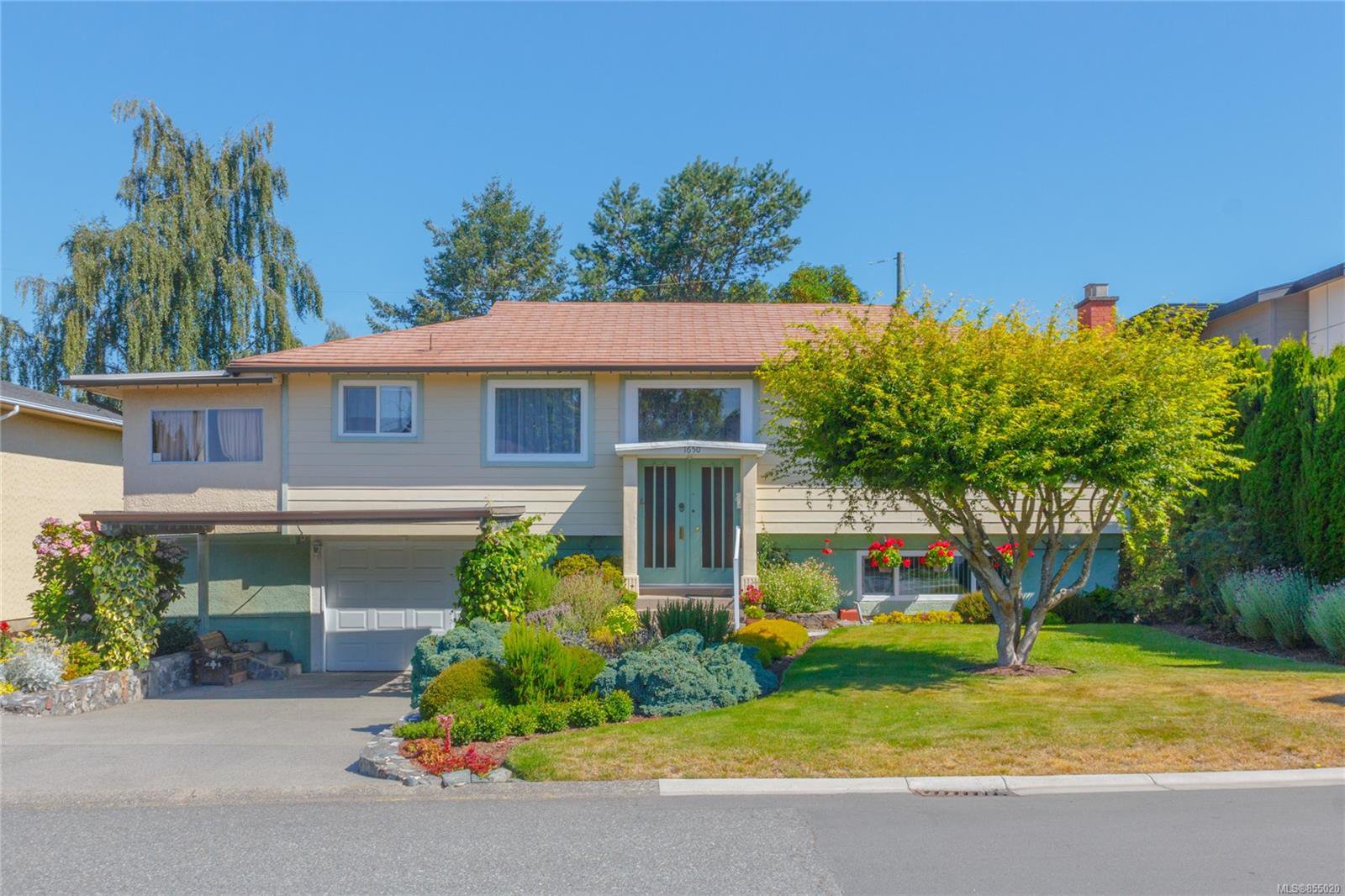 Main Photo: 1650 Alderwood St in : SE Lambrick Park Single Family Detached for sale (Saanich East) : MLS®# 855020